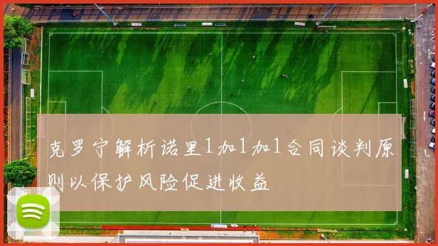克罗宁解析诺里1加1加1合同谈判原则以保护风险促进收益