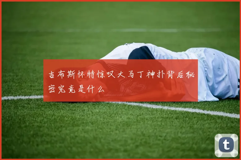 吉布斯怀特惊叹大马丁神扑背后秘密究竟是什么